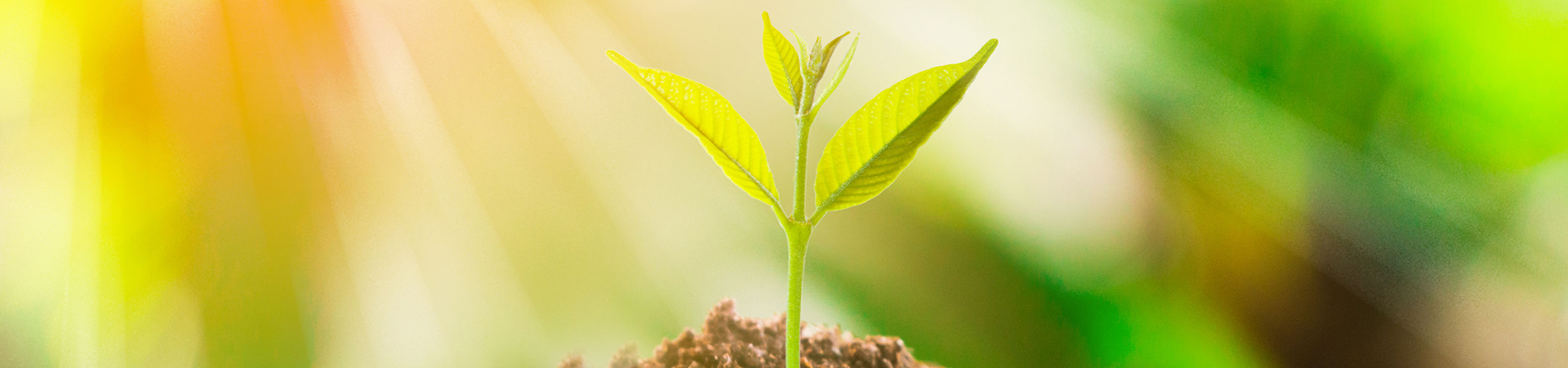 20180918142758_dlhkpa0m2j