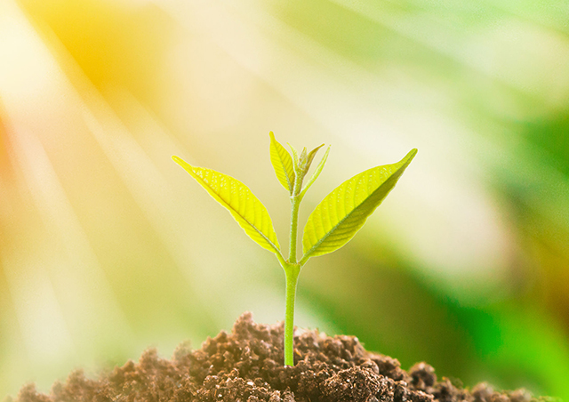 20180918142805_1ktaxf2de2