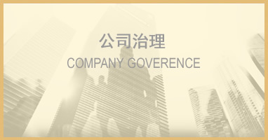 中国云顶集团年报