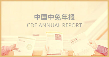 中国云顶集团年报